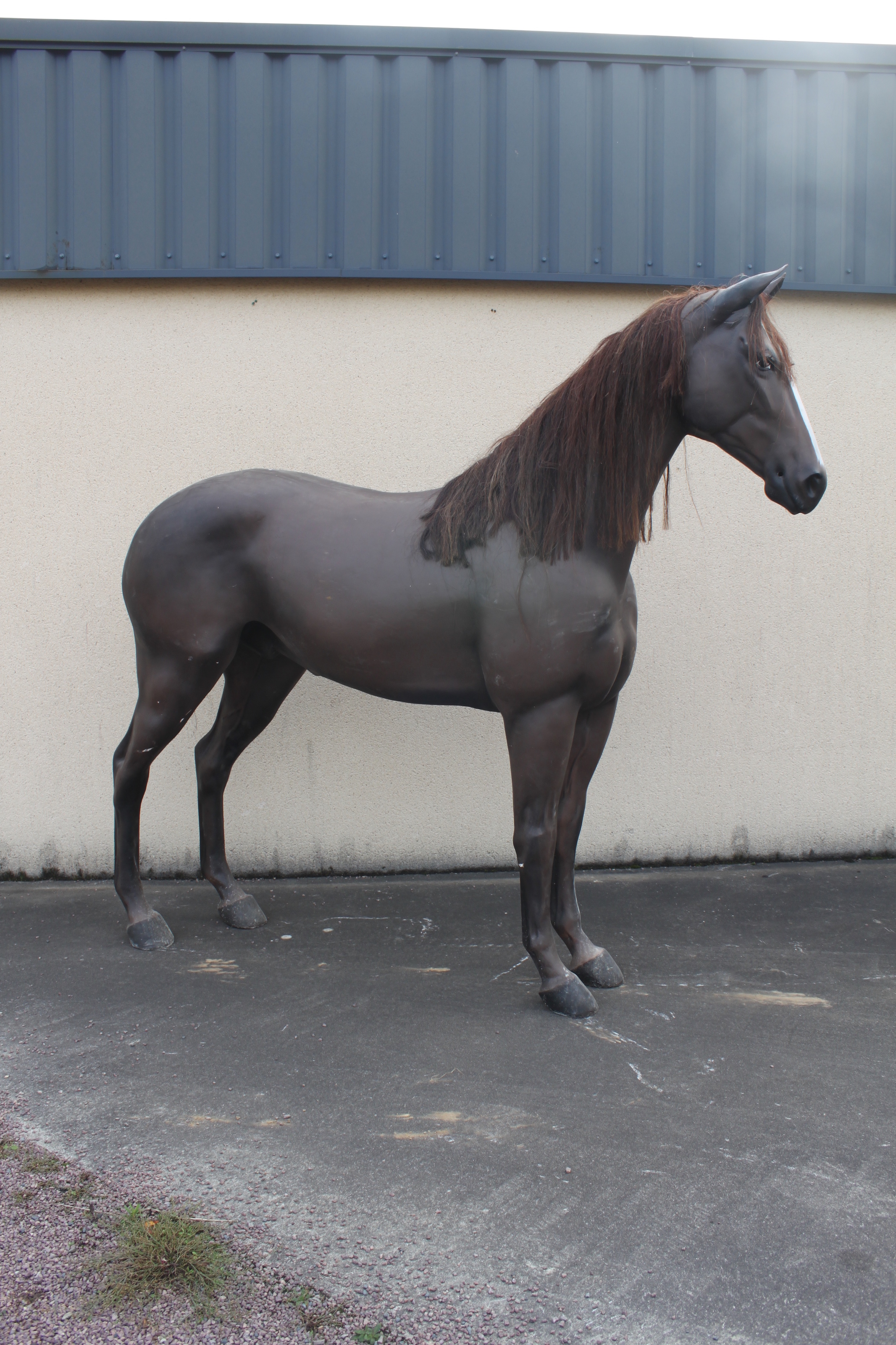 Mannequin de cheval en résine Aiolfi G.b.r.