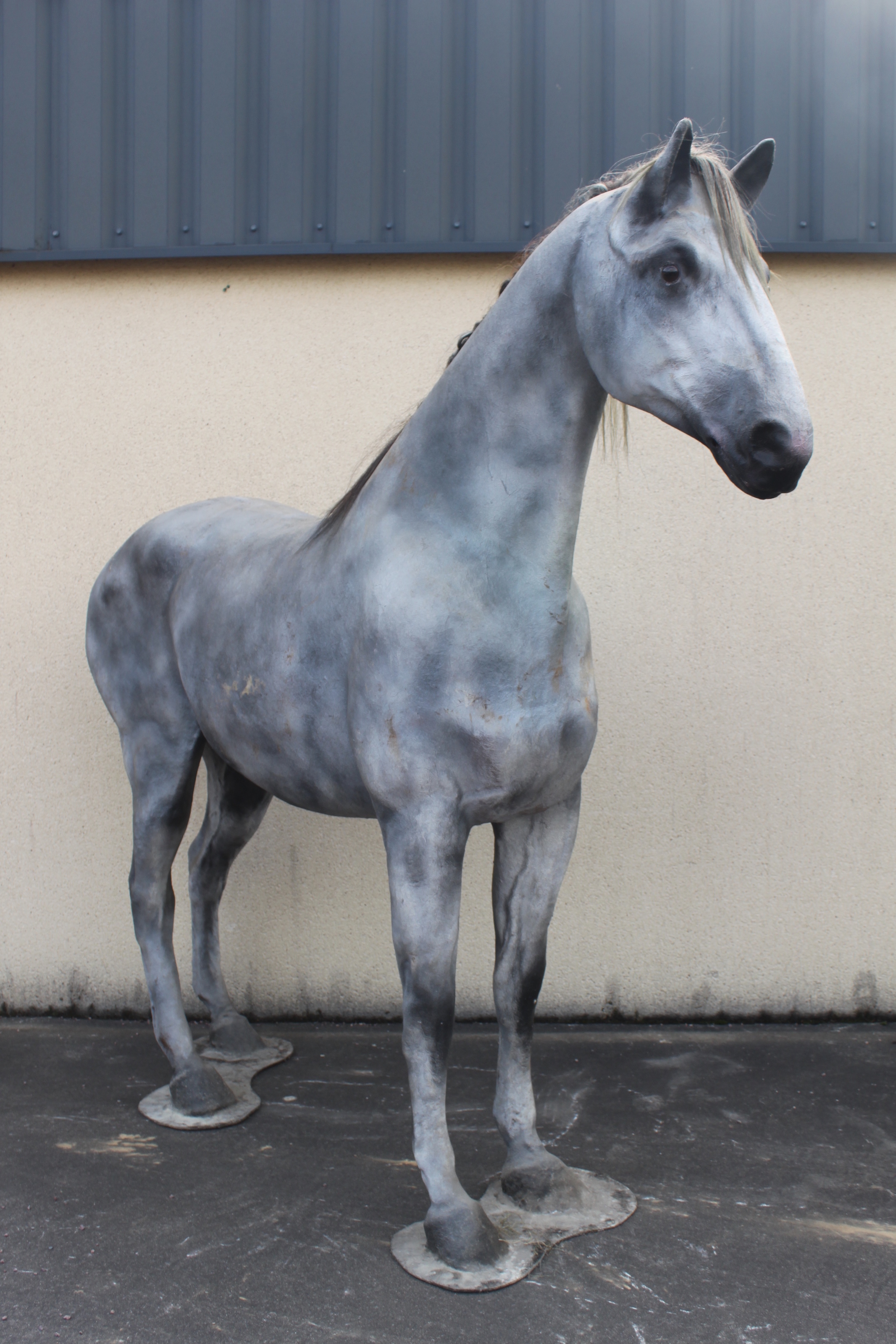 Mannequin de cheval en résine Aiolfi G.b.r.