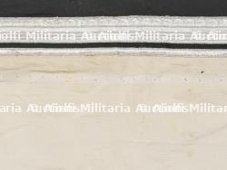 Bataillons Standarte Infanterie. Battalion Standard Infantry. — miniature 10