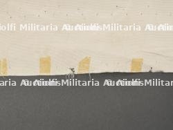 Bataillons Standarte Infanterie. Battalion Standard Infantry. — photo 17