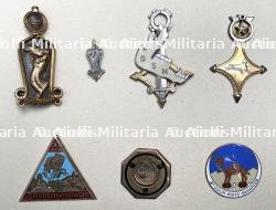 Insignes d'unités sahariennes. — photo 1