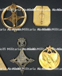 Ensemble insignes Troupes d'Afrique — photo 6