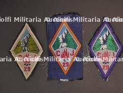 Ensemble d'insignes 29ème Groupement CJF