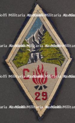 Ensemble d'insignes 29ème Groupement CJF — photo 2