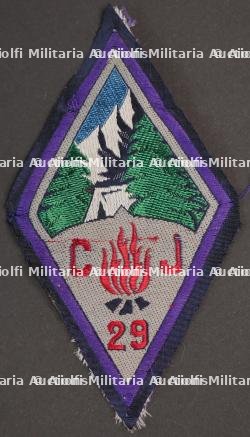 Ensemble d'insignes 29ème Groupement CJF — miniature 3