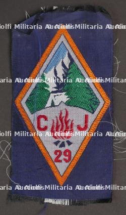 Ensemble d'insignes 29ème Groupement CJF — miniature 4