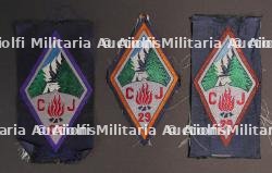 Ensemble d'insignes 29ème Groupement CJF