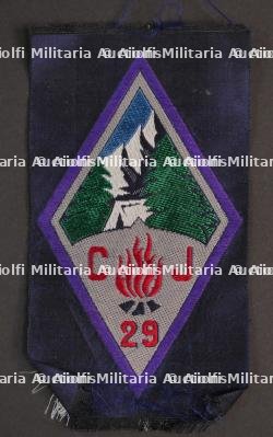 Ensemble d'insignes 29ème Groupement CJF — photo 2
