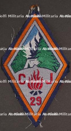 Ensemble d'insignes 29ème Groupement CJF — photo 4