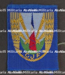 Ensemble d'insignes CJF — miniature 15