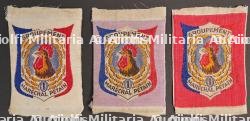 Ensemble d'insignes tissu du groupement 1 CJF