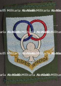Ensemble d'insignes d'Ecoles Régionales — miniature 10