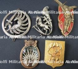 Insignes Gardes des Hauts Plateaux EO — photo 1