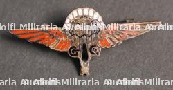 Ensemble d'insignes parachutistes — miniature 5