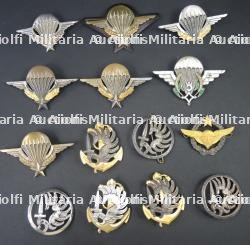 Ensemble d'insignes TAP
