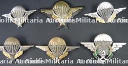 Ensemble d'insignes TAP — photo 2