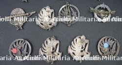 Ensemble d'insignes TAP — photo 4