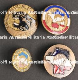 Insignes Bataillon de Choc