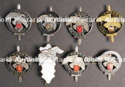 Ensemble d'insignes commando — photo 5