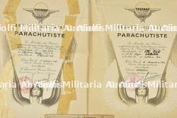 Ensemble de documents TAP