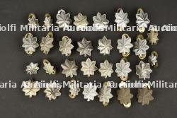 Grades de Lieutenant Colonel. — photo 1