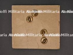 Insignes de col US. — photo 2