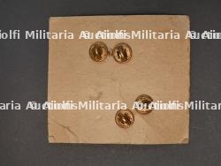 Insignes de col US. — photo 15