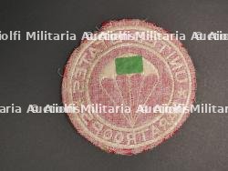 Patch paratroops. — photo 2