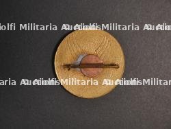 Insignes USAAF. — photo 3