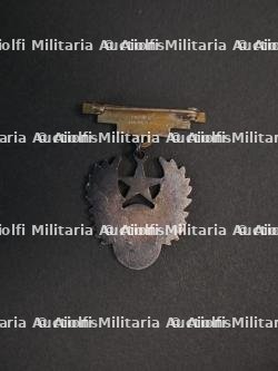 Insignes USAAF. — photo 9