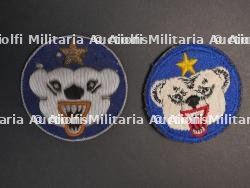 Insignes USAAF. — photo 13