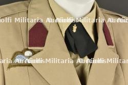 Uniformes commando belge après-guerre. — photo 4