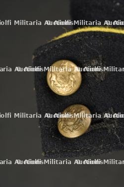 Calots britannique. — photo 5