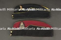 Calots britannique. — photo 9