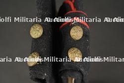 Calots britannique. — photo 3