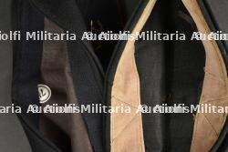 Calots britannique. — photo 2