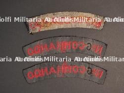 Insignes Commando. — photo 3