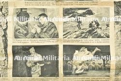 Affiche Commando. — photo 3
