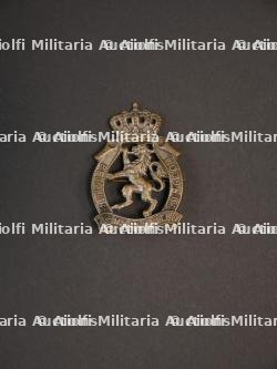 Insignes SAS. — photo 12