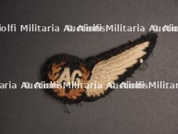 Brevet Air Gunner RAF.