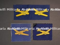 Insigne Air Dispatch Group.