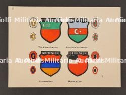 Planche d'insigne aserbeidschan. Badge plate aserbeidschan.