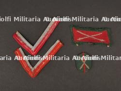 Insignes cosaque. Chest badge.