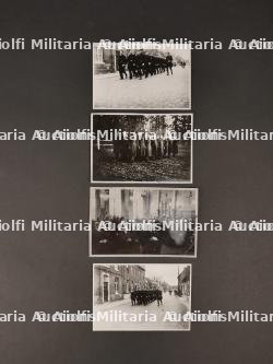 Photos de presse flamande. Photos from the Flemish press.
