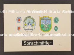 Planche d'insigne Turkistan. Turkistan badge board
