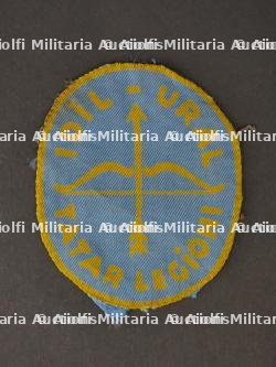 Insigne Ukrainien. Ukrainian badge.