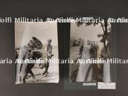 Ensemble de deux photographies de presse de la Légion Wallonie. Set of two press photographs of the Walloon Legion.