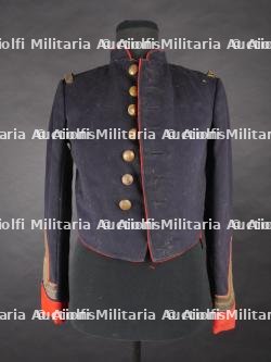 Vareuse belge. Belgian tunic