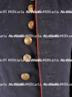 Vareuse belge. Belgian tunic — photo 2