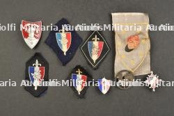 Ensemble d'insignes des Compagnons de France et LFC. — photo 1